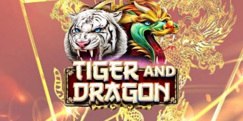 casino rong ho nha cai hitclub 6840292b35886