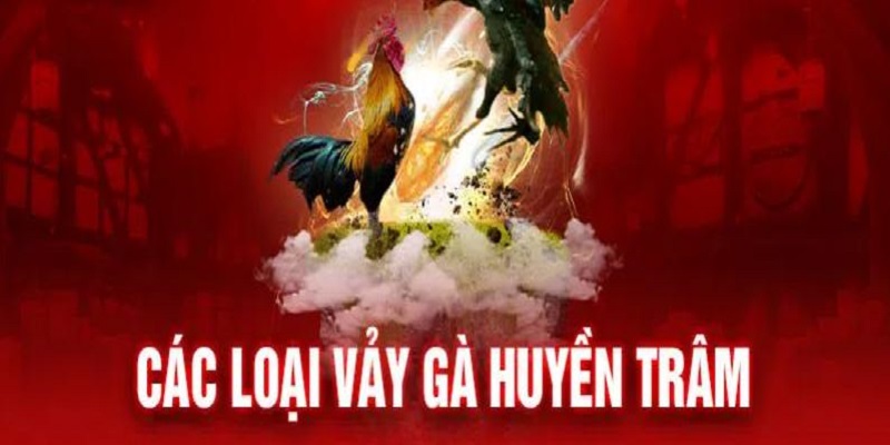 vay ga huyen tram la gi 684028fba7a03