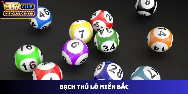 bạch thủ lô miền bắc