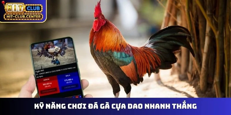 Kỹ năng chơi đá gà cựa dao nhanh thắng