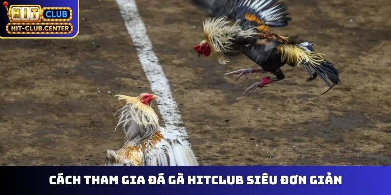 Cách tham gia đá gà Hitclub siêu đơn giản