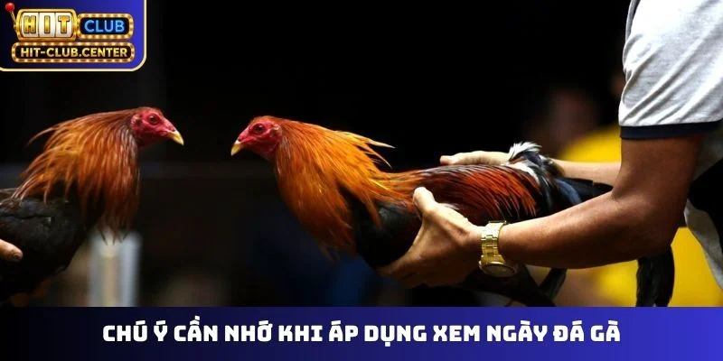 Chú ý cần nhớ khi áp dụng xem ngày đá gà